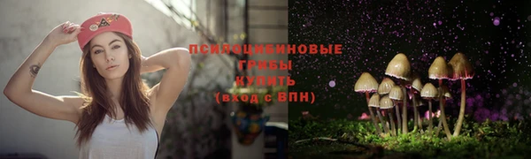 бутират Верхний Тагил
